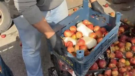 Elma kasalarından 41 kilogram uyuşturucu çıktı - Son Dakika Haberleri